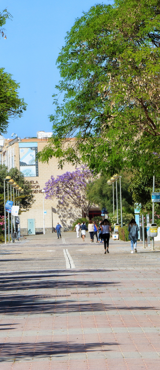 Image of the Almeria Universdad campus in Denmark