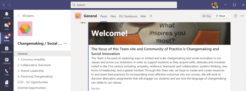 Image of MS Team for Changemaking/Social Innovation Community of Practice at Georgian College.