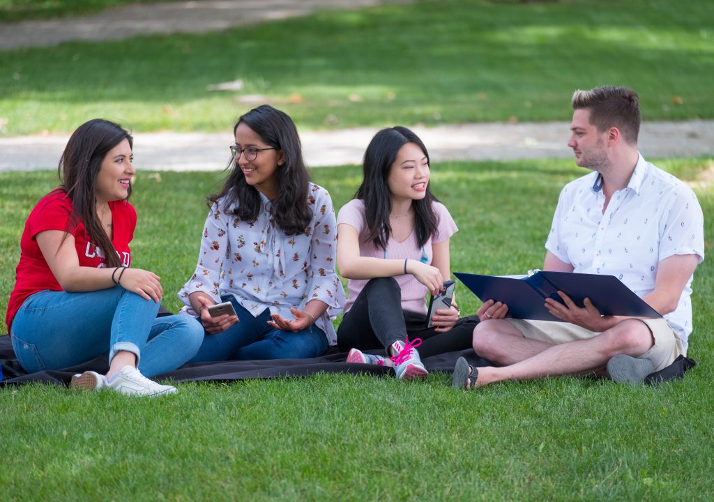 Students studying outside