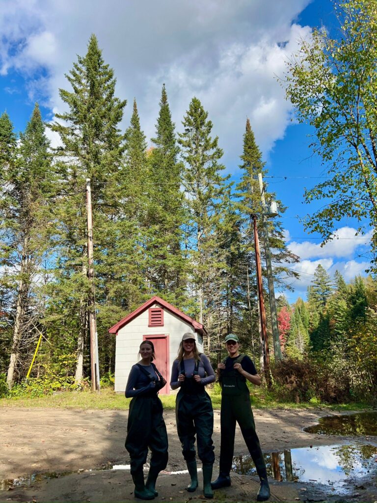 Three people stand in a forest.