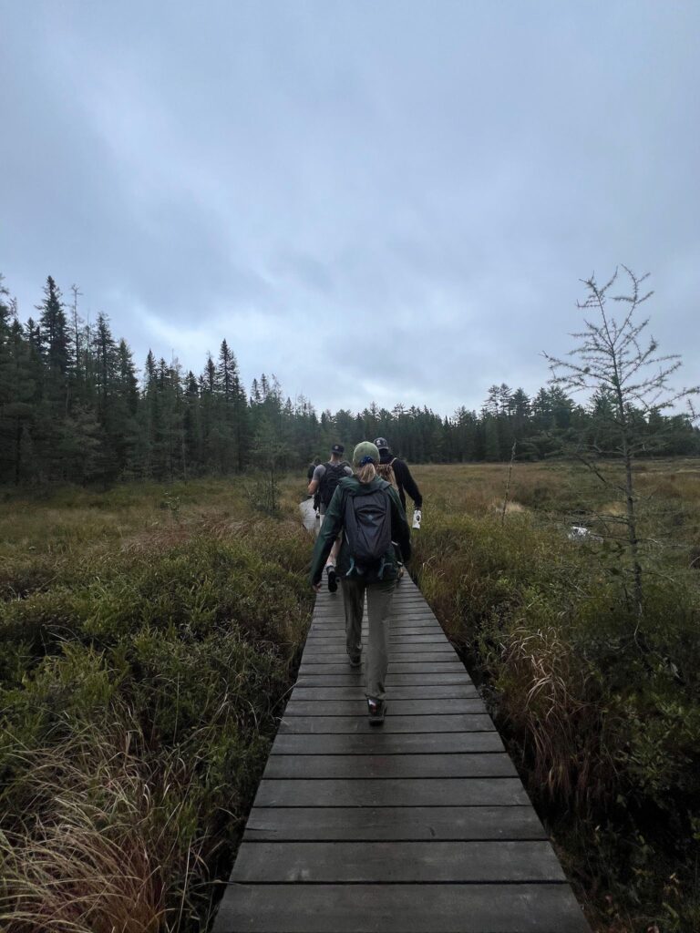 People on a hike on a trail.