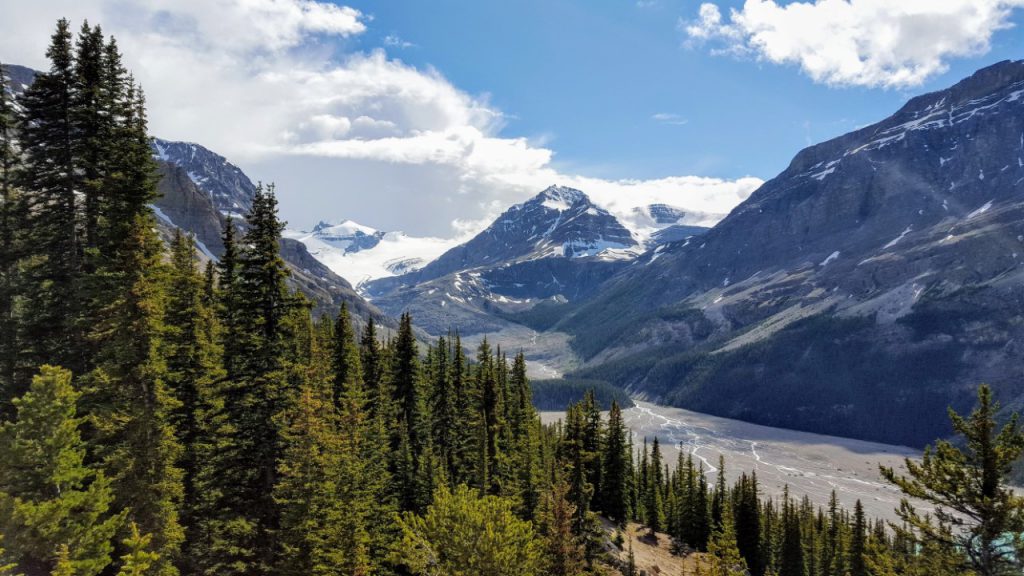 Mountain landscape with a green forest in the forefront.