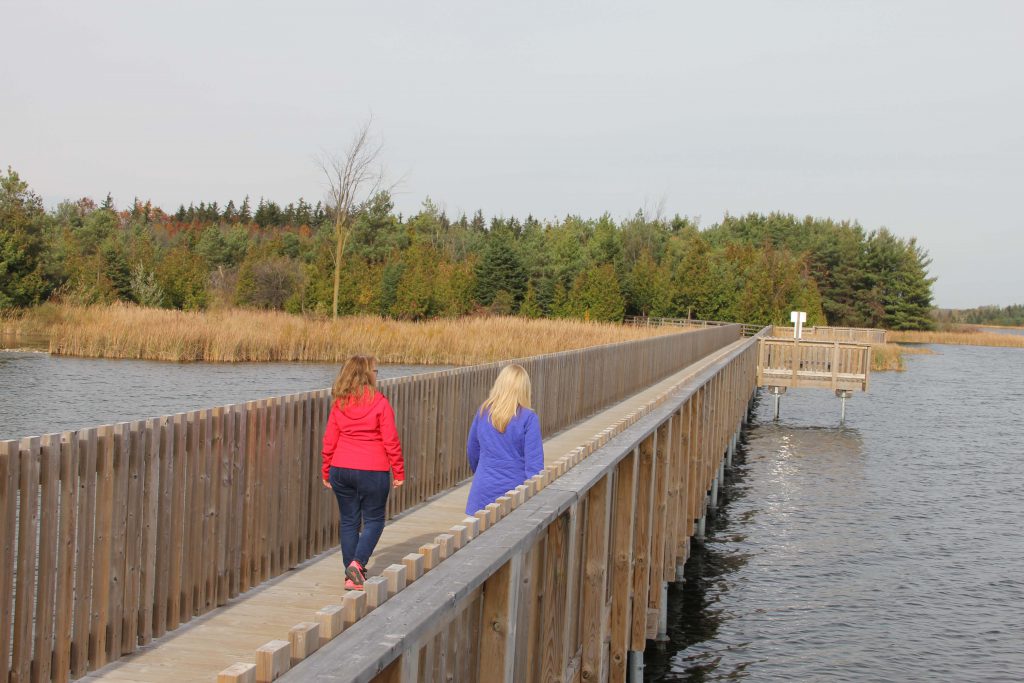 Two women walk along the Orangeville boardwalk 