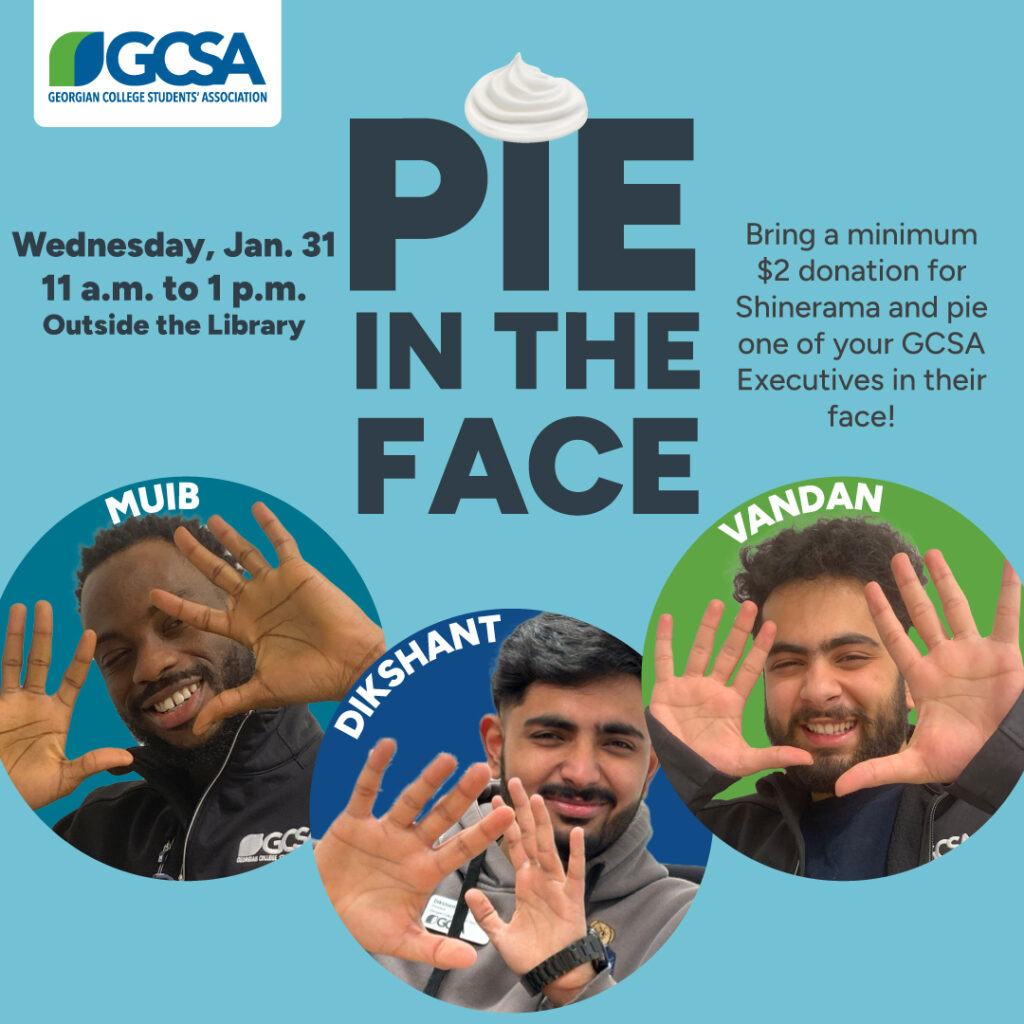 pie in the face poster