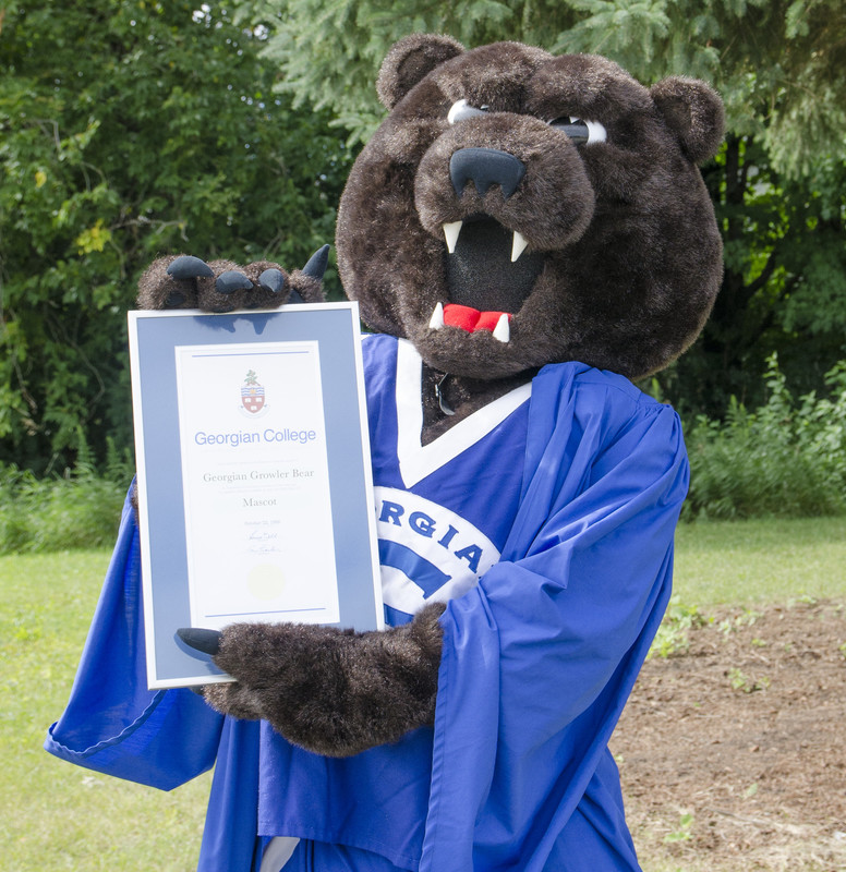 Grizzly bear mascot wearing a blue graduation gown holds a credential.