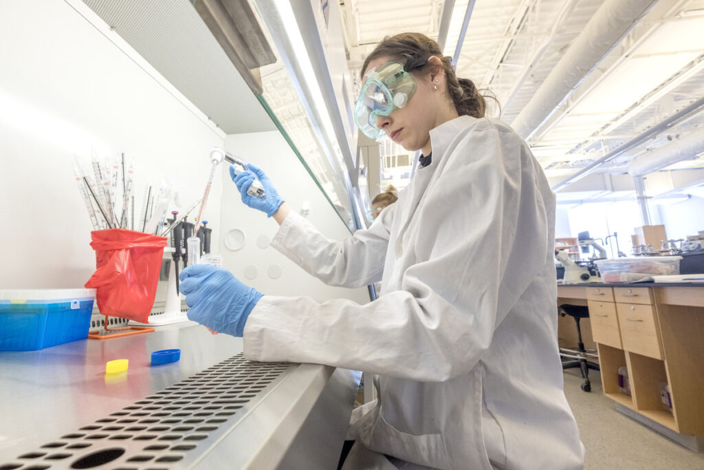 A student working with tissue cultures in a lab.