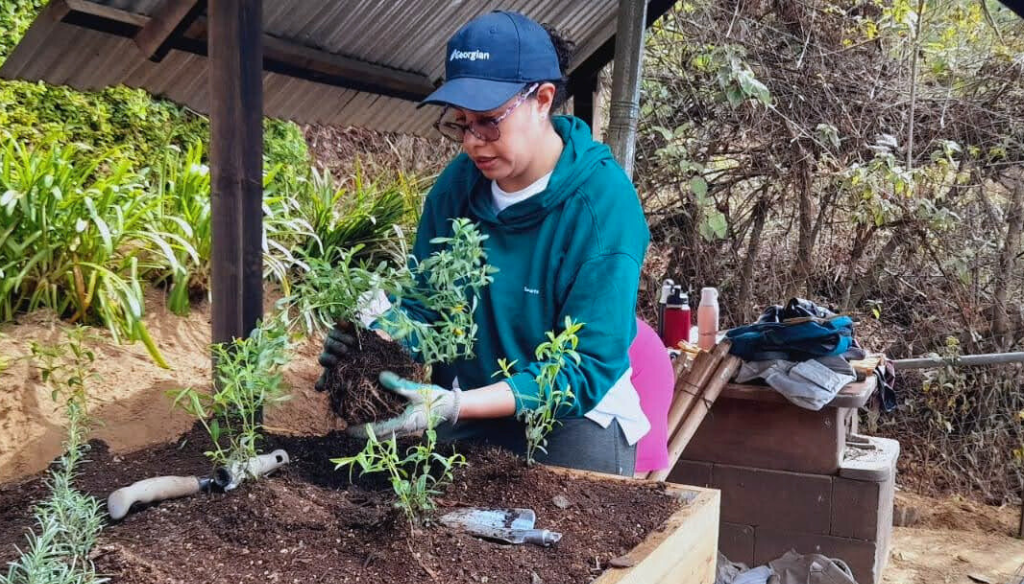 A Georgian student on an education abroad trip to Central America. They are planting herbs in a garden.