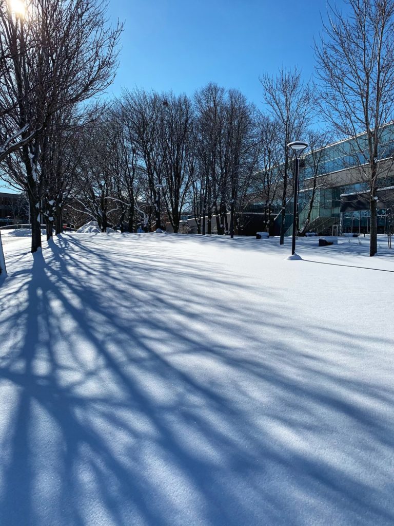 A view of M building in the winter. Snow covered campus grounds and shadows of trees on the snow.