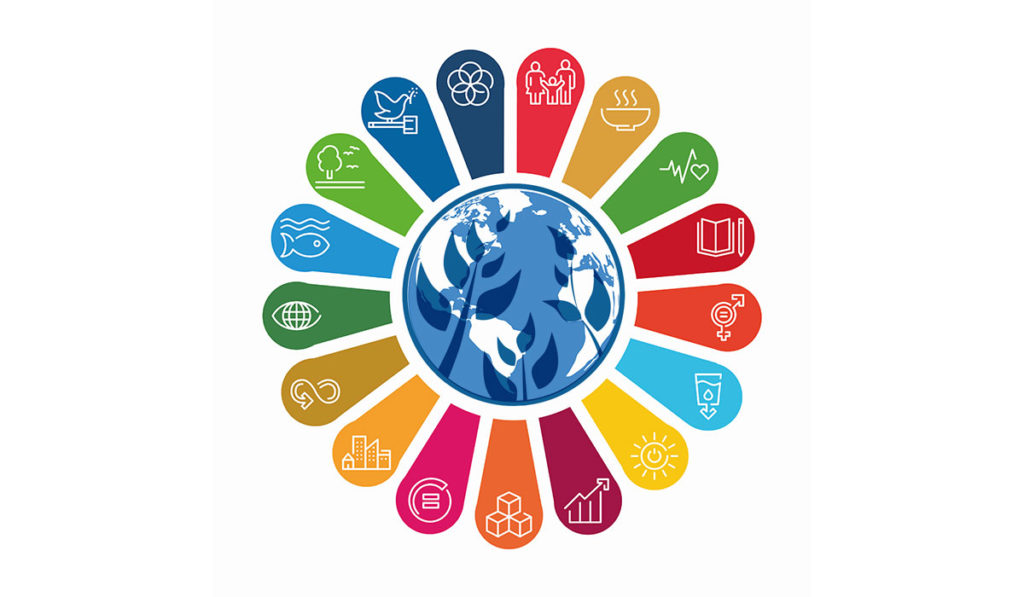 United Nations 17 sustainability goals