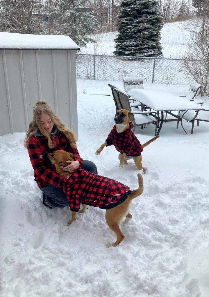 A person wearing a red and black plaid jacket playing with two dogs outside in the snow.