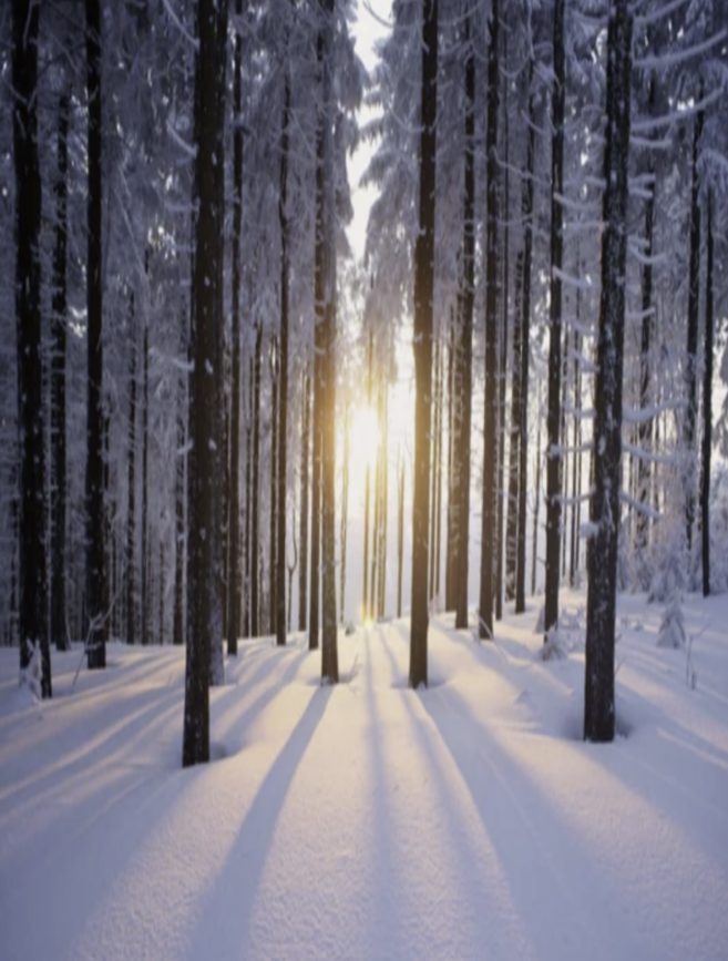 Georgian College Accelerator Icon