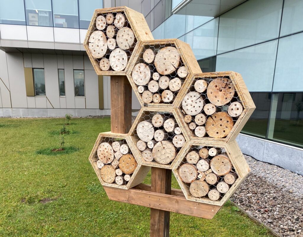 A bee domicile sits outside a building. It's a wooden structure in the shape of honeycombs filled with wooden cylinders and covered in chicken wire.