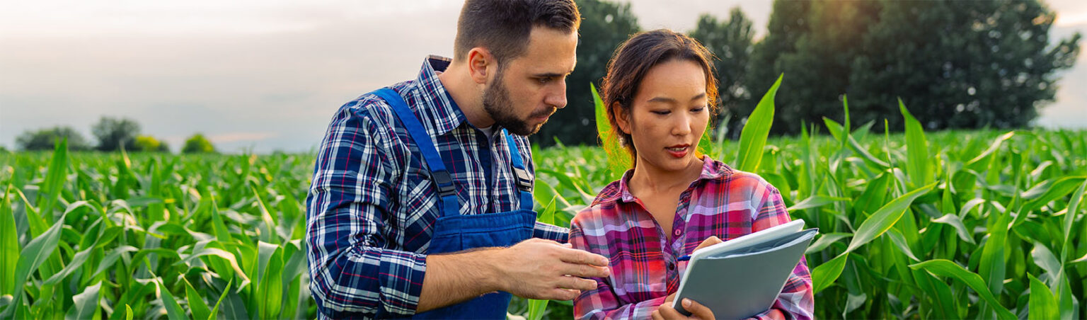 Two agrobusiness experts in plaid shirts and denim overalls/pants standing in an open field of tall green crops and reviewing a document on a clipboard