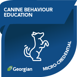 Canine Behaviour Education Micro-credential