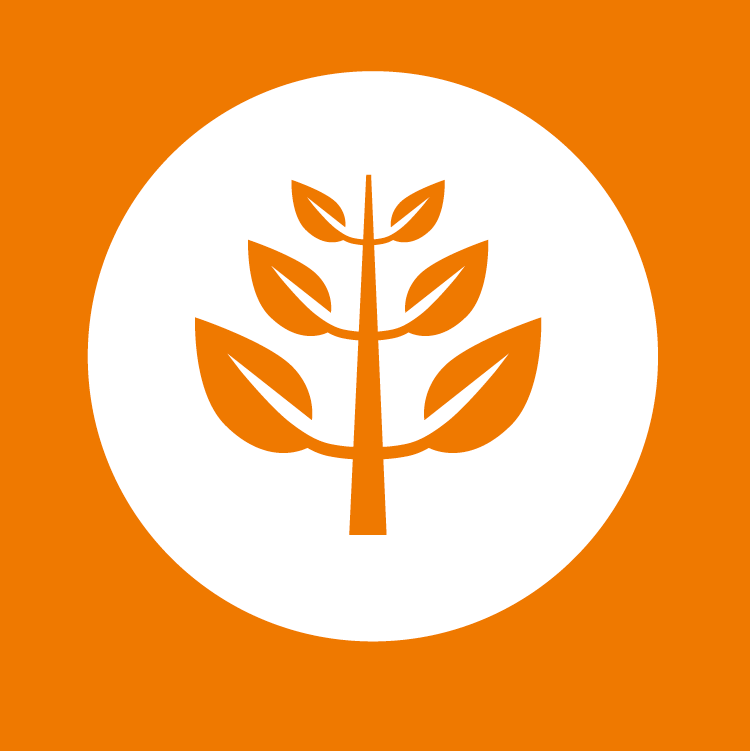 Social entrepreneur changemaking pathway; icon of a tree with leaves