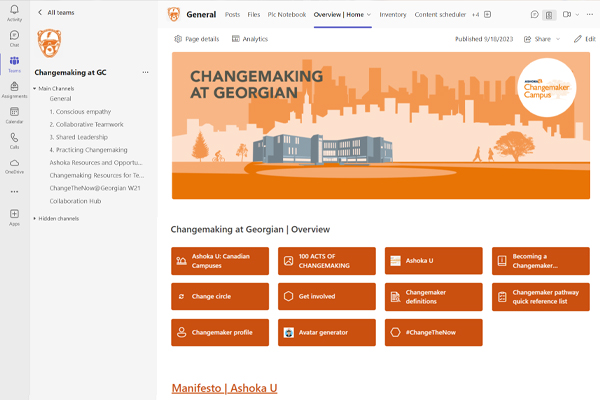 Screenshot of Changemaking Teams Community