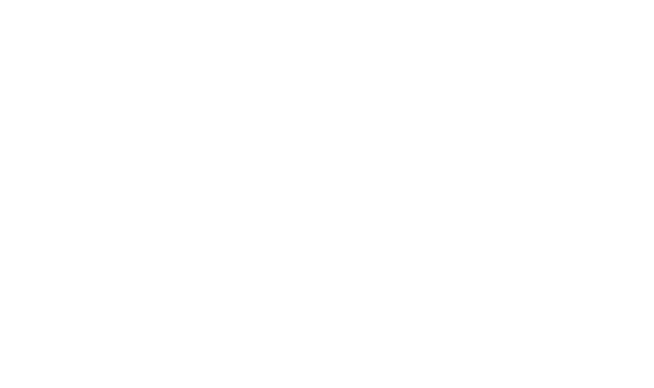 Connect More Georgian logo