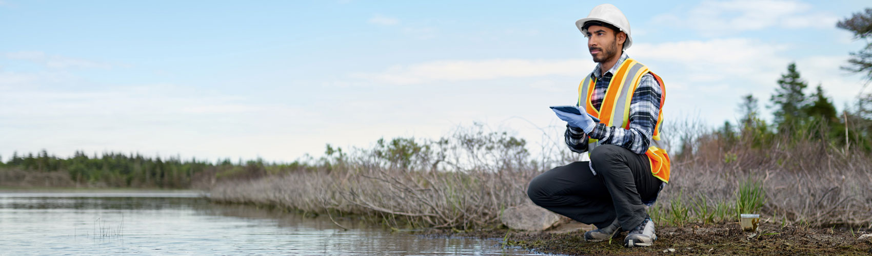 Environmental technician wearing a hard hat and reflective safety vest crouching down next to a swamp while holding a tablet