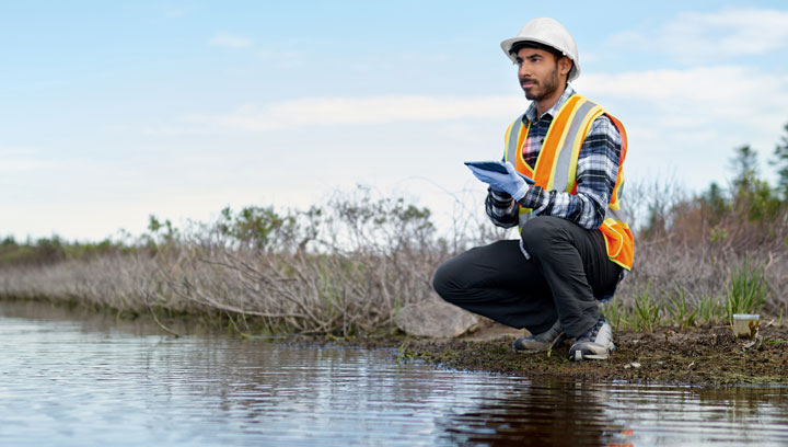 Environmental technician wearing a hard hat and reflective safety vest crouching down next to a swamp while holding a tablet