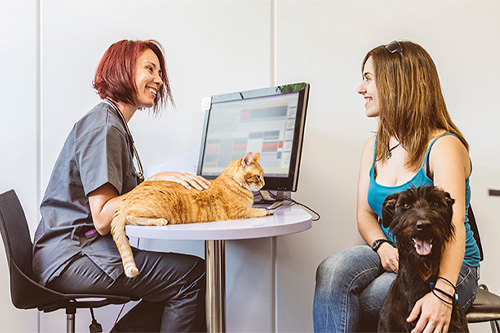 A veterinary technician sitting at a computer desk, while an orange cat lays across the table, and the pet owner sits on a chair across the desk with arm around a black dog
