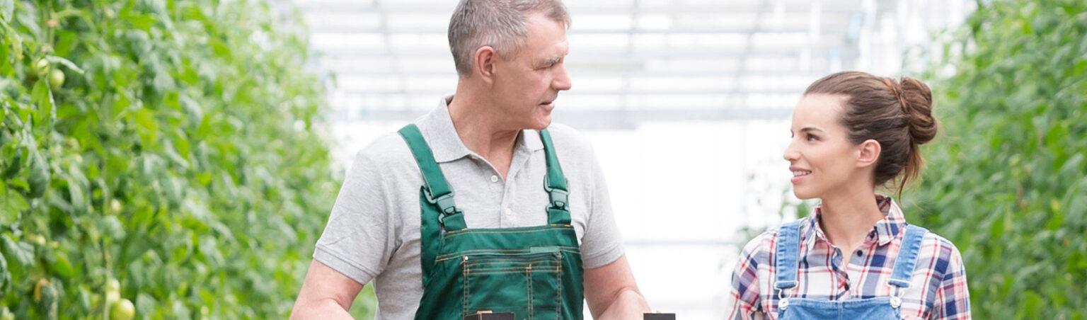 Two people wearing overalls, one older and one younger, walking together in a greenhouse surrounded by tall green plants, having a conversation.