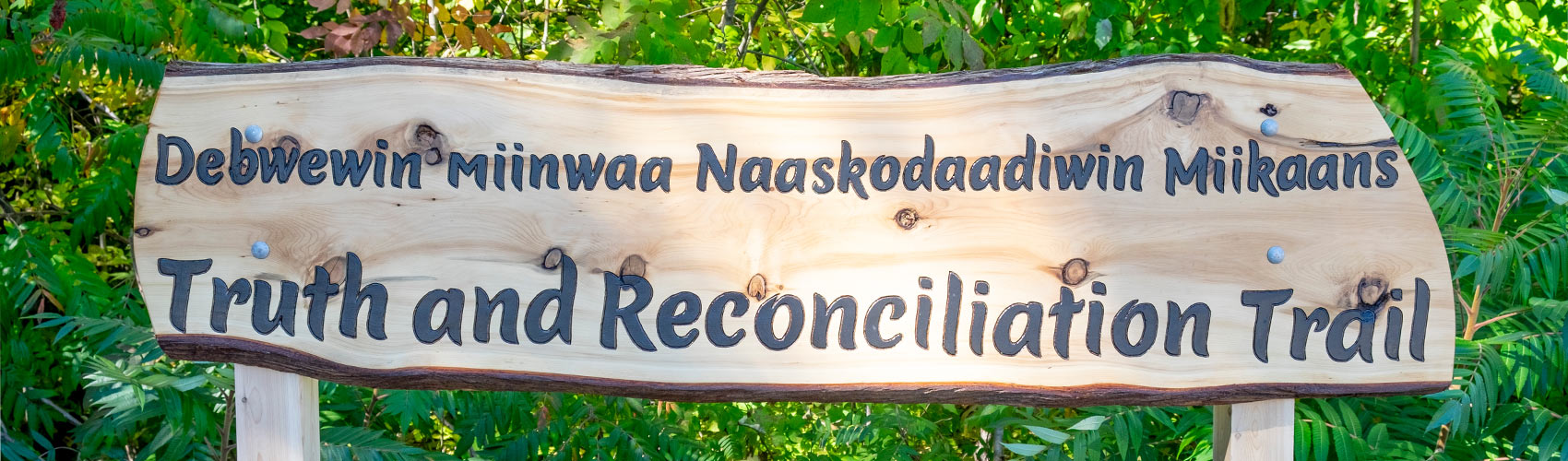 Debwewin miinwaa Naaskodaadiwin Miikaans | Truth and Reconciliation Trail (a live-edge wooden sign in front of a green forest at the Georgian College Orillia Campus)