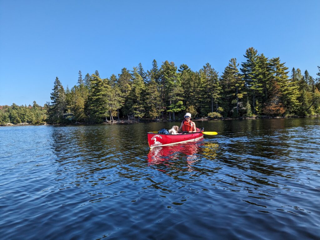 A person sits in a canoe with a dog on a lake with trees in the background. 