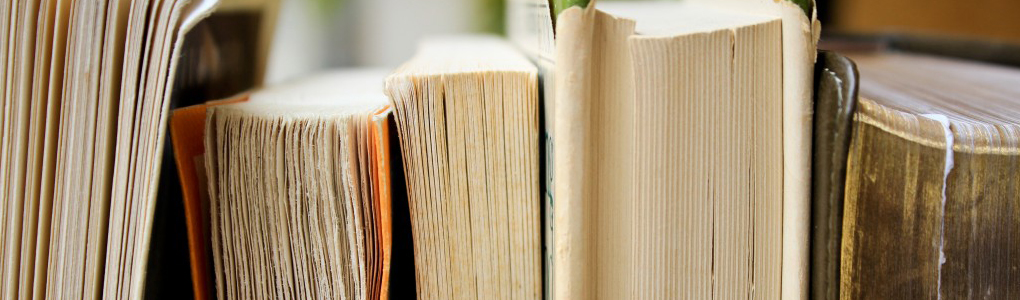 Banner of books