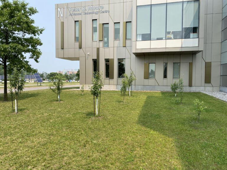 Georgian College orchard