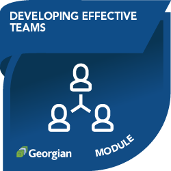UpSkill Tourism micro-credential: Developing Effective Teams module