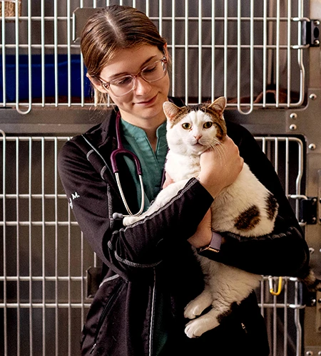 Animal health student holds cat