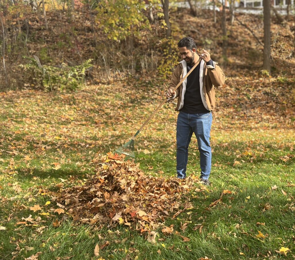 A person rakes leaves in a yard.